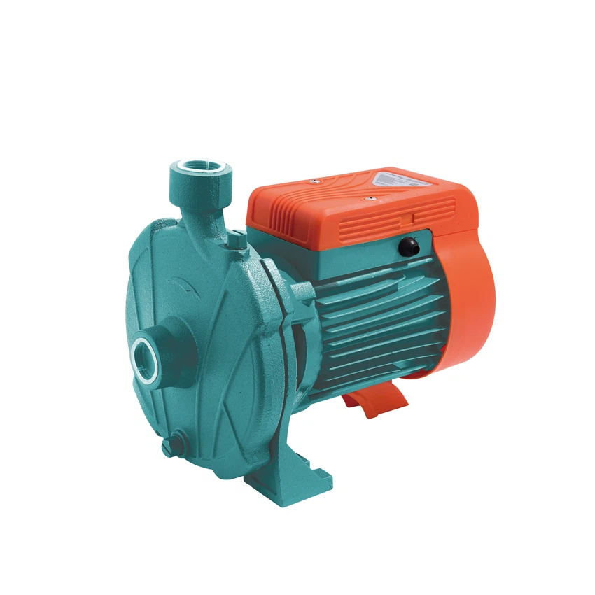 110v Centrifugal Pump